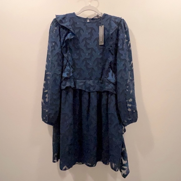 NWT WALTER BAKER Fae Ruffle Trimmed Fil Coupe Chiffon Mini Dress - Picture 5 of 10